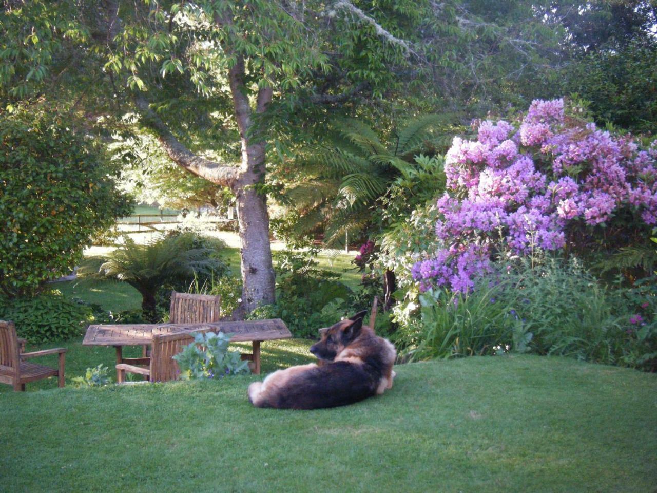 Bed and breakfast Twynham At Kinloch Extérieur photo